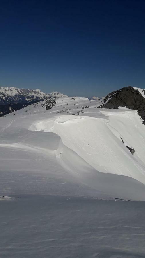 فندق Haus Alpenheim فلاخاو المظهر الخارجي الصورة